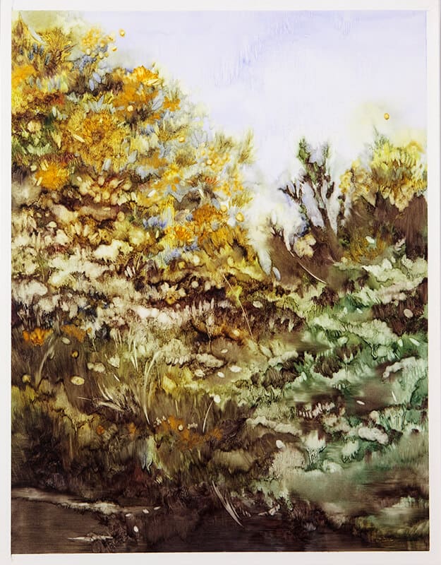 Fynbos, 2016. Oil on paper, 56 x 43 cm. Courtesy of Barnard Gallery.