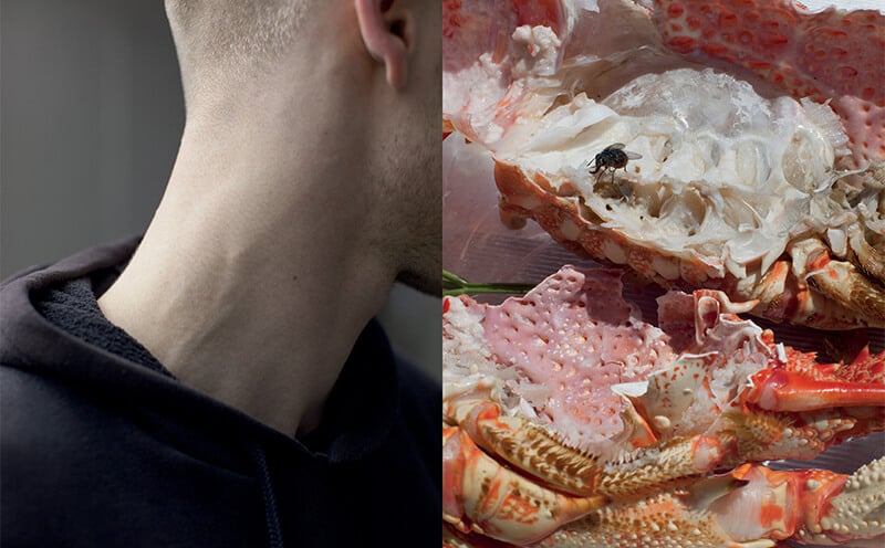LEFT: Wolfgang Tillmans, Collum, 2011. © Wolfgang Tillmans. PREVIOUS PAGE RIGHT: Wolfgang Tillmans, astro crusto, a, 2012. © Wolfgang Tillmans. Images courtesy of the Tate Modern.