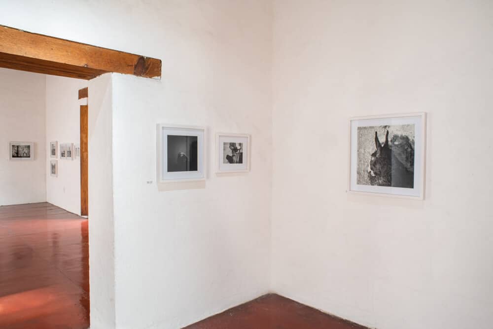 Jo Ractliffe’s’ exhibition at Centro Fotográfico Álvarez Bravo. Photographer: Jalil Olmedo.